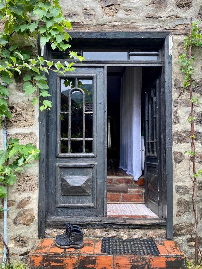 Villa The Hunter House à Ciudanovita Extérieur photo