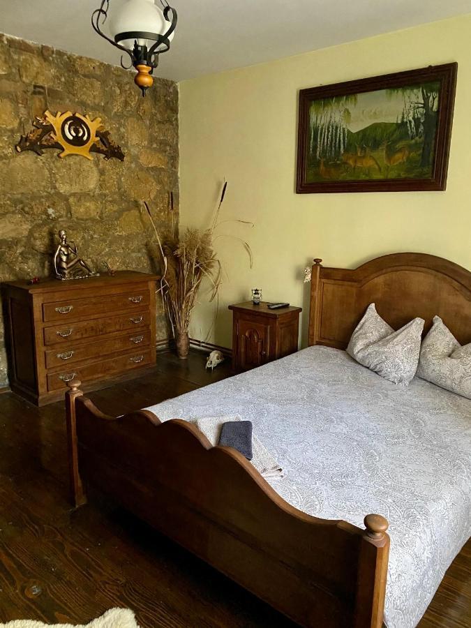 Villa The Hunter House à Ciudanovita Extérieur photo